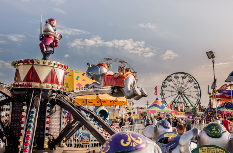 LARGEST FREE FAIR IN THE STATE Owatonna Area Chamber of Commerce